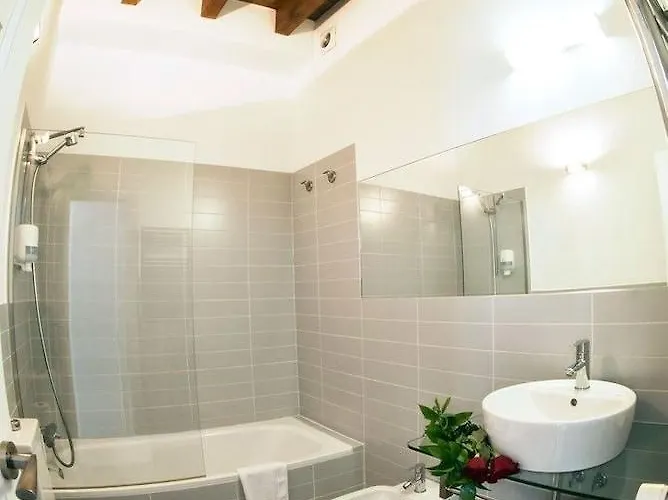 Siete Revueltas Singular 4*